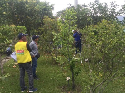 「樹木修剪教育訓練」並由景觀工程商業同業公會花蓮分會承辦，含室內及室外實作課程 (3)